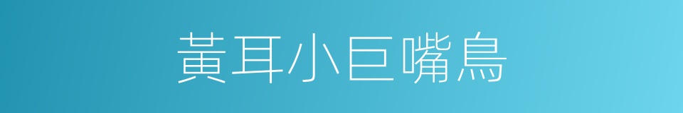 黃耳小巨嘴鳥的同義詞