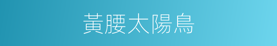 黃腰太陽鳥的同義詞