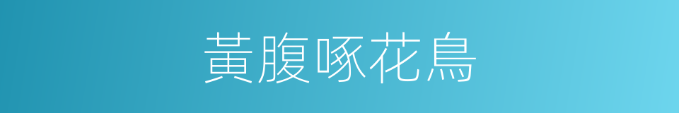 黃腹啄花鳥的同義詞