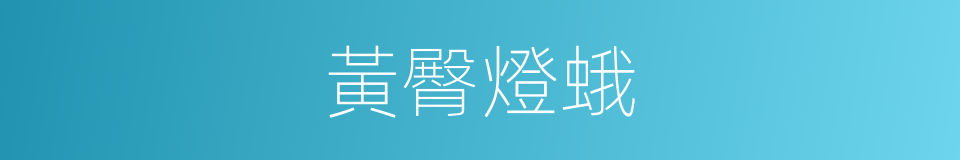 黃臀燈蛾的同義詞