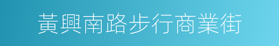 黃興南路步行商業街的同義詞