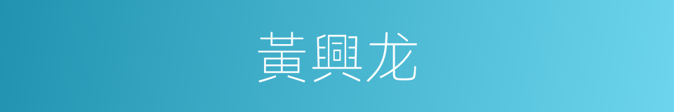 黃興龙的同義詞