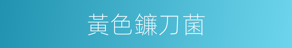 黃色鐮刀菌的同義詞