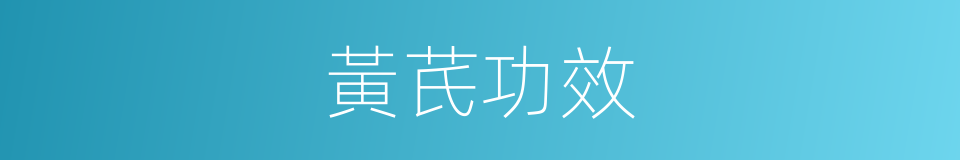 黃芪功效的同義詞