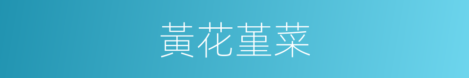 黃花堇菜的同義詞