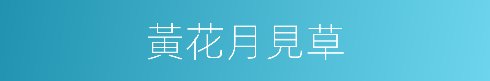黃花月見草的同義詞