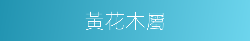 黃花木屬的同義詞