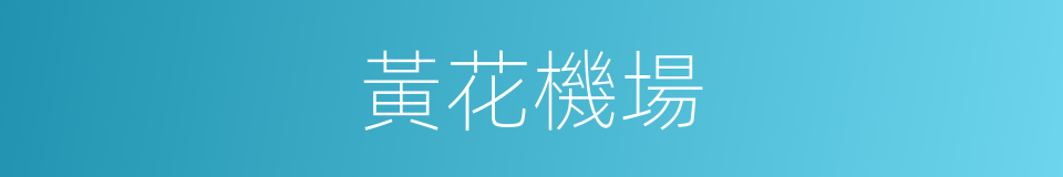 黃花機場的同義詞