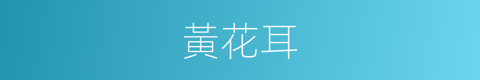 黃花耳的同義詞