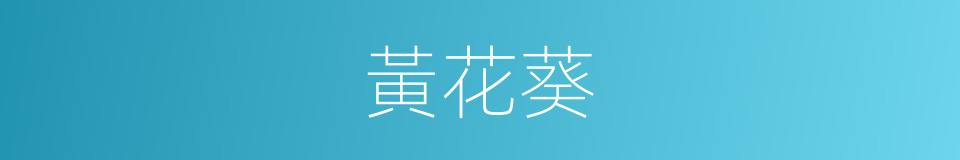 黃花葵的同義詞