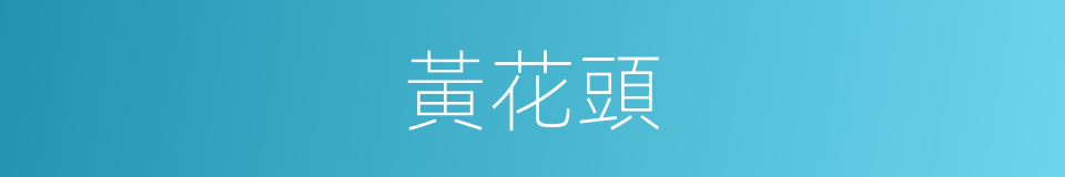 黃花頭的同義詞