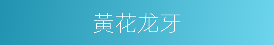 黃花龙牙的同義詞