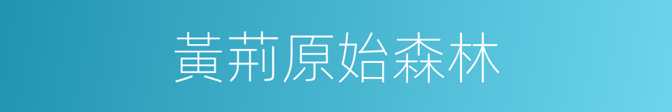 黃荊原始森林的同義詞
