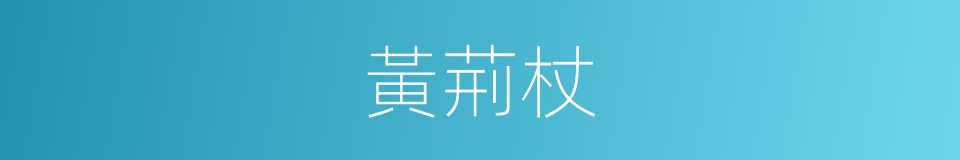 黃荊杖的意思