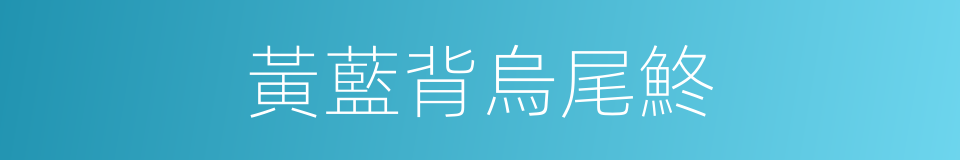 黃藍背烏尾鮗的同義詞