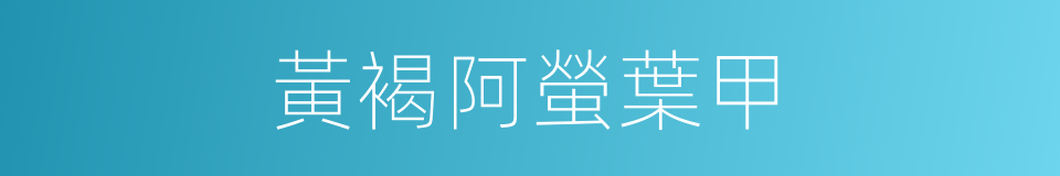黃褐阿螢葉甲的同義詞