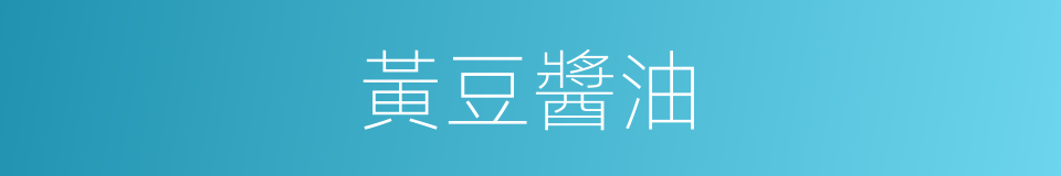 黃豆醬油的同義詞