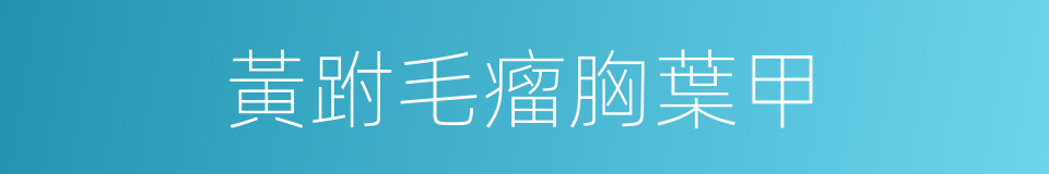 黃跗毛瘤胸葉甲的同義詞