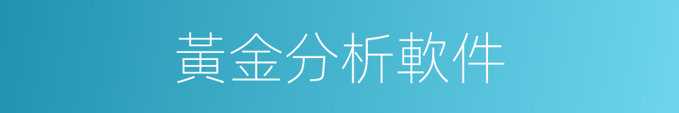 黃金分析軟件的同義詞