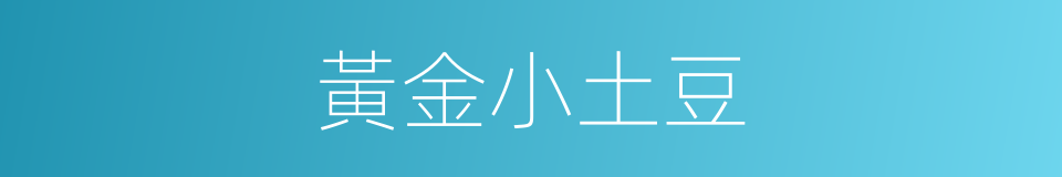 黃金小土豆的同義詞