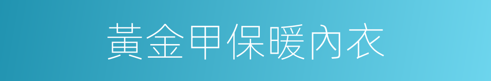 黃金甲保暖內衣的同義詞