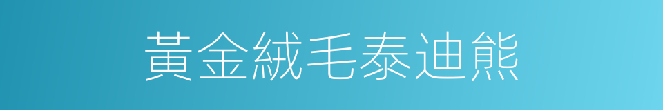 黃金絨毛泰迪熊的同義詞