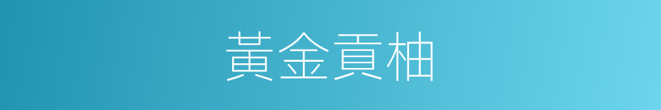 黃金貢柚的同義詞