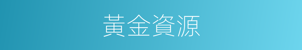 黃金資源的同義詞