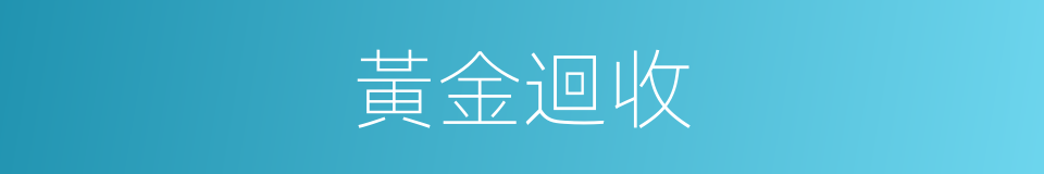 黃金迴收的同義詞