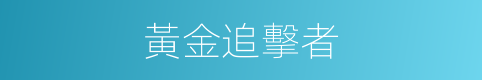 黃金追擊者的同義詞