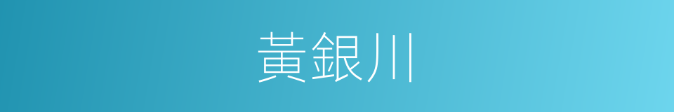 黃銀川的同義詞