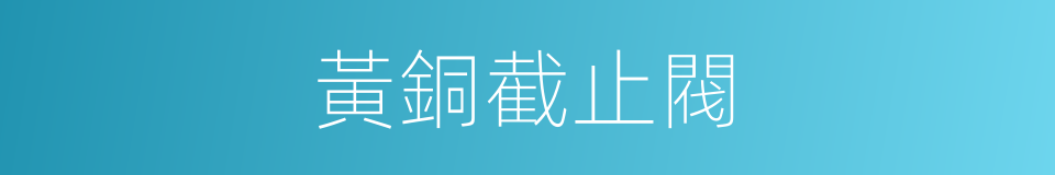 黃銅截止閥的同義詞