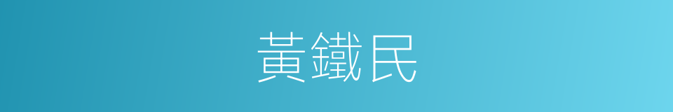 黃鐵民的同義詞