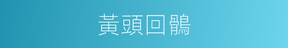 黃頭回鶻的同義詞