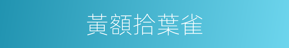 黃額拾葉雀的同義詞