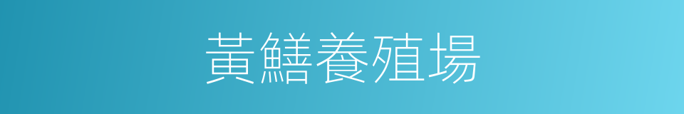 黃鱔養殖場的同義詞