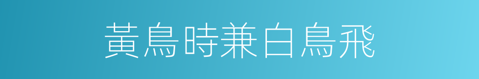 黃鳥時兼白鳥飛的同義詞