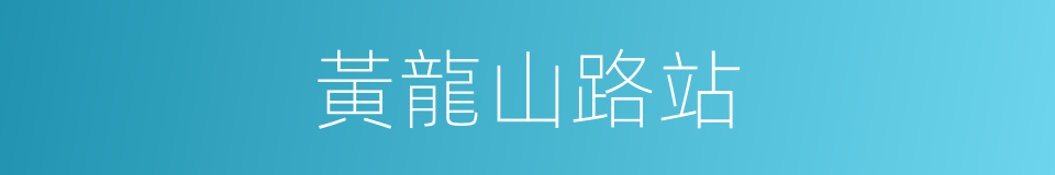 黃龍山路站的同義詞