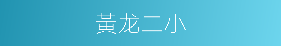 黃龙二小的同義詞