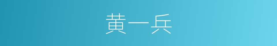 黄一兵的同义词