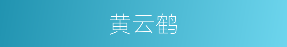 黄云鹤的同义词