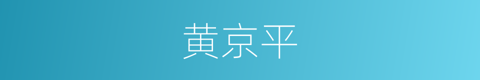 黄京平的同义词