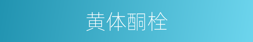 黄体酮栓的同义词