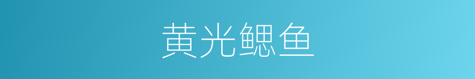 黄光鳃鱼的同义词
