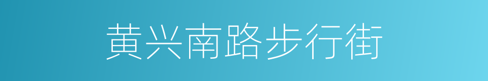 黄兴南路步行街的同义词
