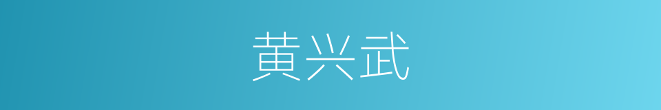 黄兴武的同义词