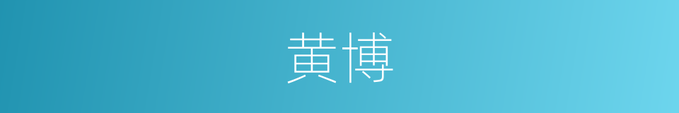 黄博的同义词