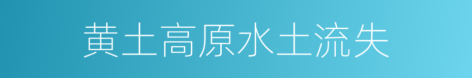 黄土高原水土流失的同义词