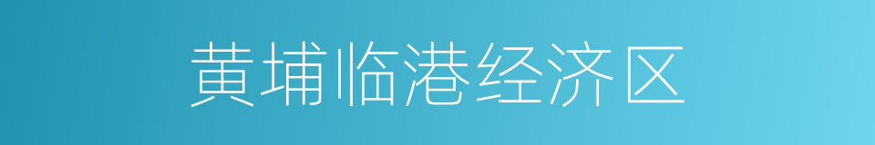 黄埔临港经济区的同义词