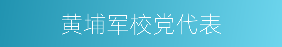 黄埔军校党代表的同义词